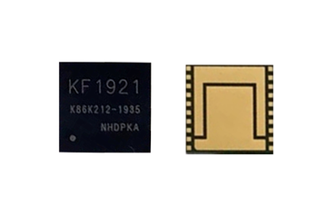 WhatsMiner KF1921 Chip
