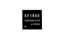 Whatsminer KF1950 chip